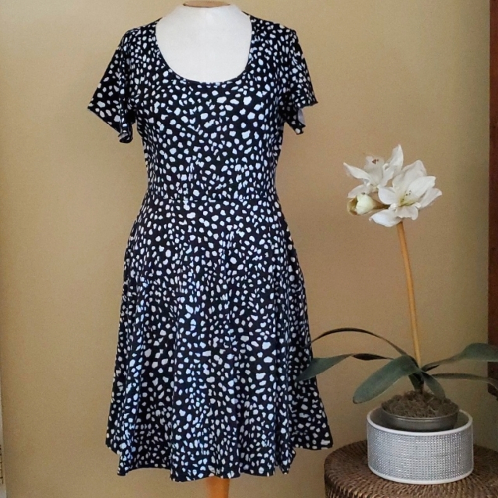 Acevog Fit & Flare Dress